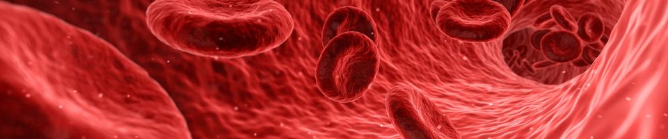 blood-1813410_1920